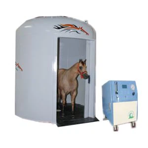 Équipement vétérinaire Concentrateur d'oxygène 4bar