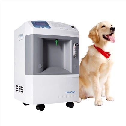 Concentrateur d'oxygène à usage vétérinaire pour chien et chat de 10 litres