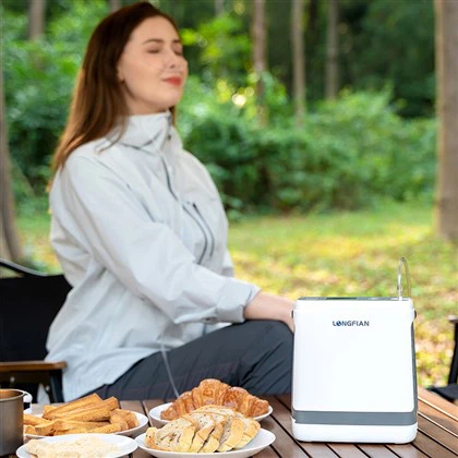 Concentrateur d'oxygène pulsé portable