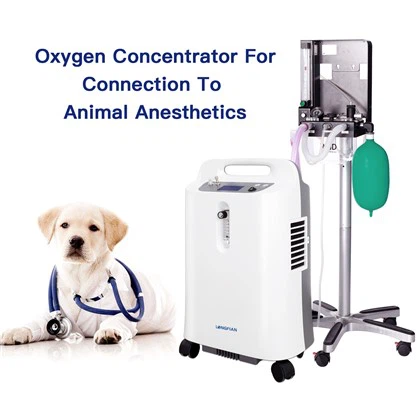 Concentrateur d'oxygène vétérinaire pour chambre ICU